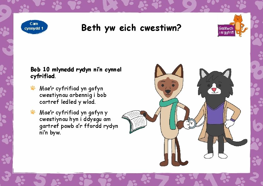 Cam cynnydd 1 Beth yw eich cwestiwn? Bob 10 mlynedd rydyn ni‛n cynnal cyfrifiad.