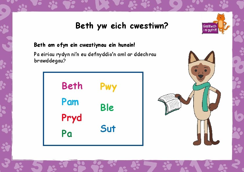 Beth yw eich cwestiwn? Beth am ofyn ein cwestiynau ein hunain! Pa eiriau rydyn
