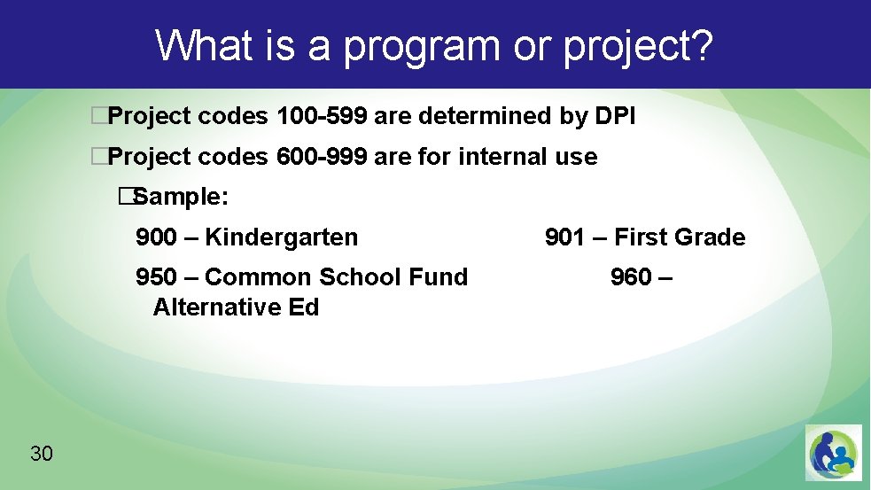 What is a program or project? �Project codes 100 -599 are determined by DPI