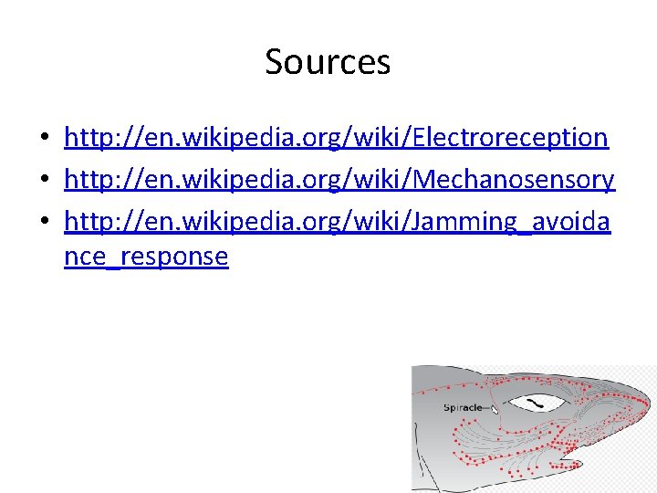 Sources • http: //en. wikipedia. org/wiki/Electroreception • http: //en. wikipedia. org/wiki/Mechanosensory • http: //en.