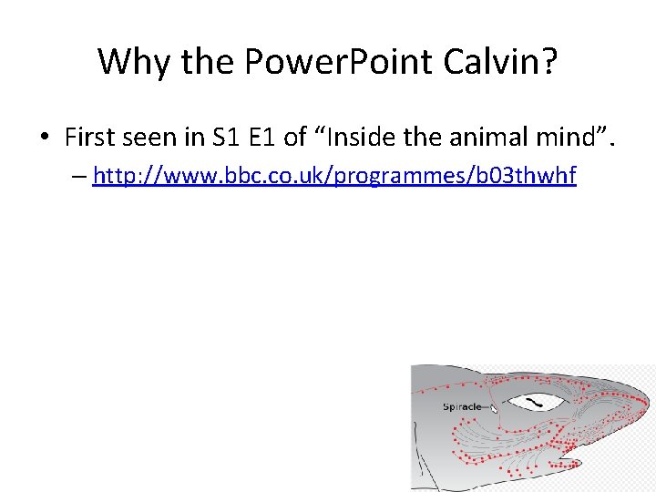 Why the Power. Point Calvin? • First seen in S 1 E 1 of