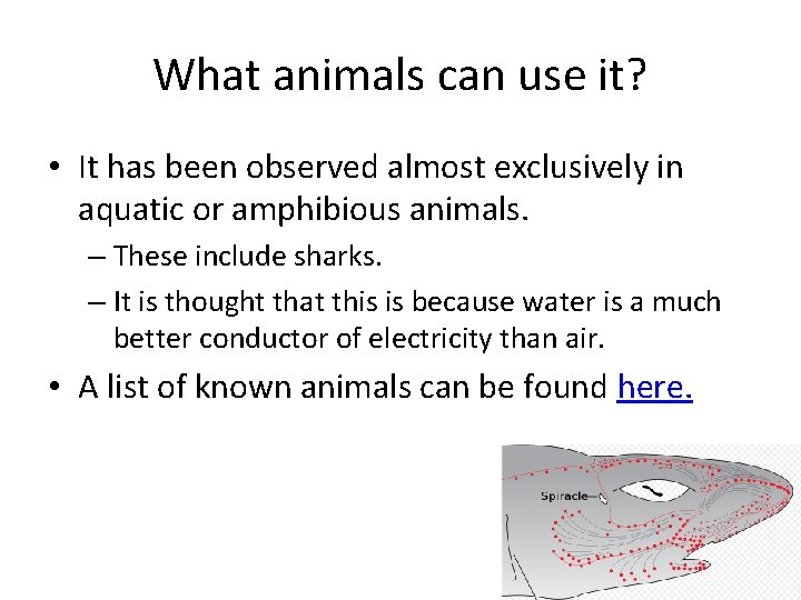 What animals can use it? • It has been observed almost exclusively in aquatic