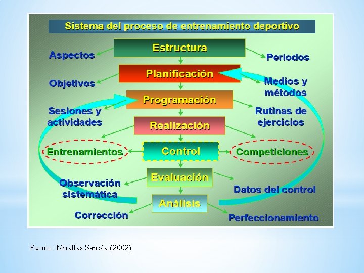 Fuente: Mirallas Sariola (2002). 