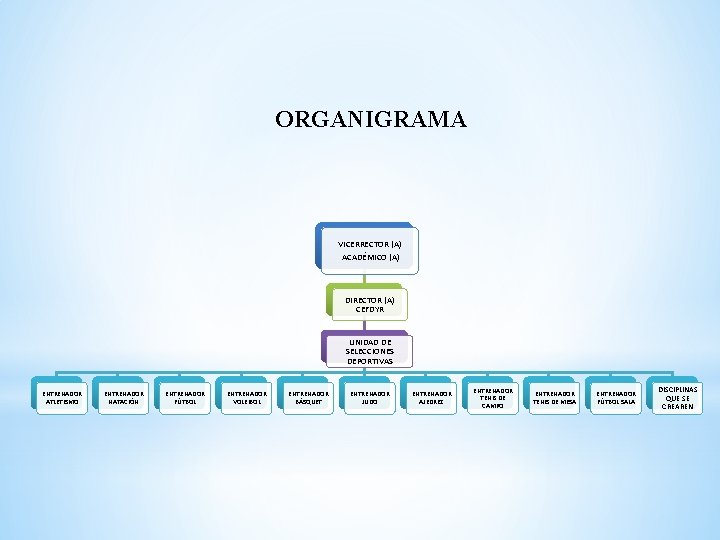 ORGANIGRAMA VICERRECTOR (A) ACADÉMICO (A) DIRECTOR (A) CEFDYR UNIDAD DE SELECCIONES DEPORTIVAS ENTRENADOR ATLETISMO
