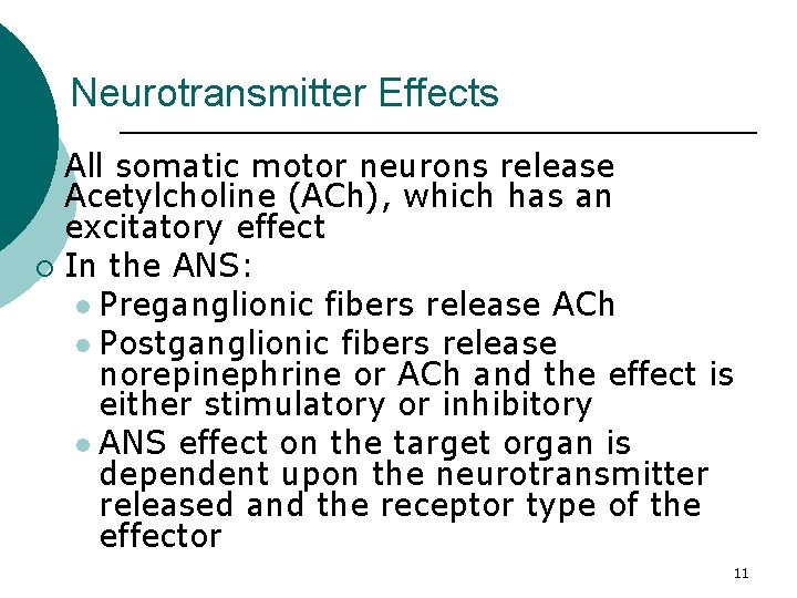 Neurotransmitter Effects All somatic motor neurons release Acetylcholine (ACh), which has an excitatory effect