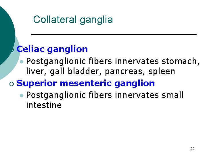 Collateral ganglia Celiac ganglion l Postganglionic fibers innervates stomach, liver, gall bladder, pancreas, spleen