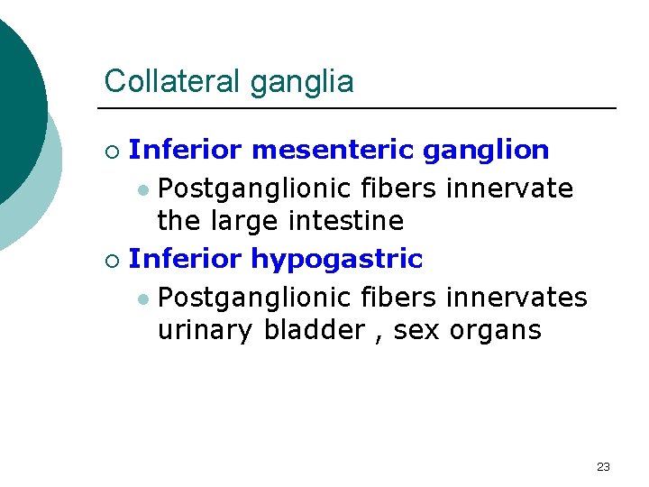 Collateral ganglia Inferior mesenteric ganglion l Postganglionic fibers innervate the large intestine ¡ Inferior