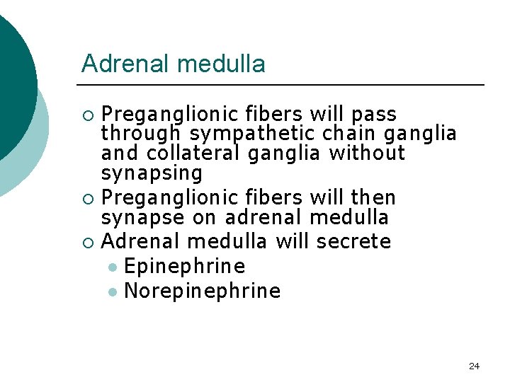 Adrenal medulla Preganglionic fibers will pass through sympathetic chain ganglia and collateral ganglia without
