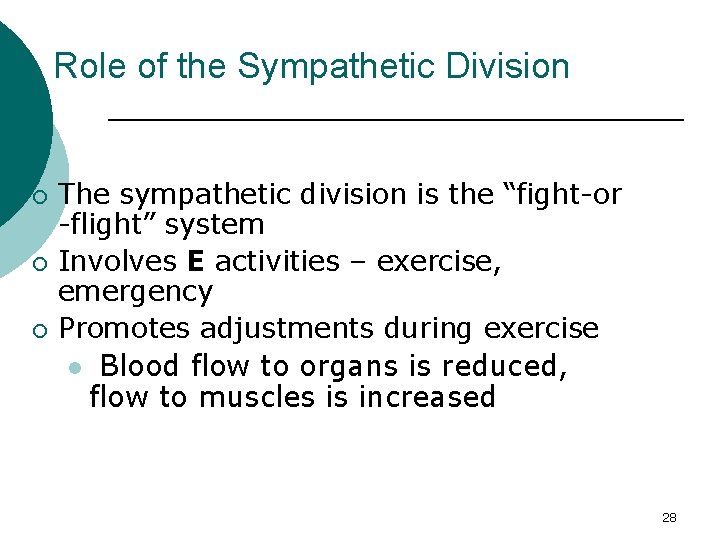Role of the Sympathetic Division ¡ ¡ ¡ The sympathetic division is the “fight-or