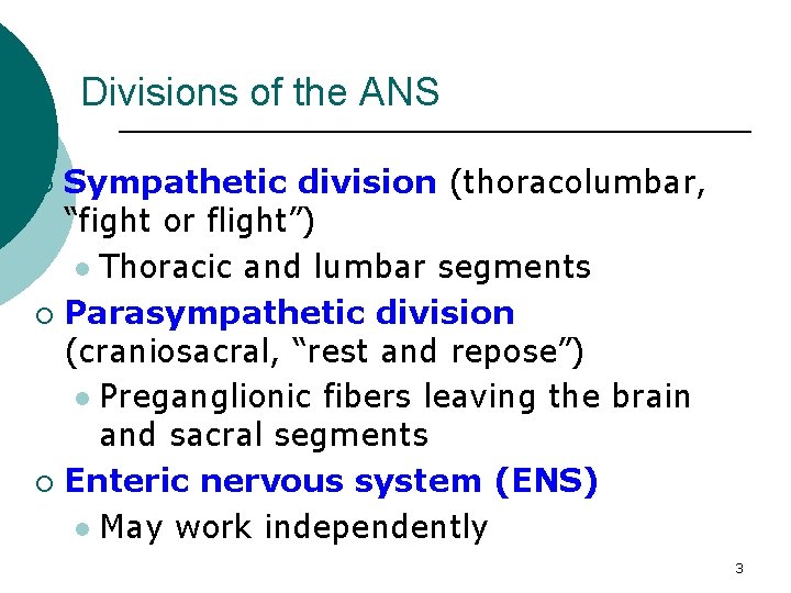 Divisions of the ANS Sympathetic division (thoracolumbar, “fight or flight”) l Thoracic and lumbar