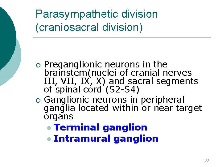 Parasympathetic division (craniosacral division) ¡ ¡ Preganglionic neurons in the brainstem(nuclei of cranial nerves