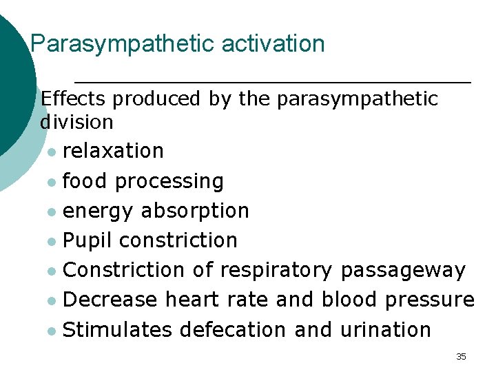 Parasympathetic activation ¡ Effects produced by the parasympathetic division relaxation l food processing l