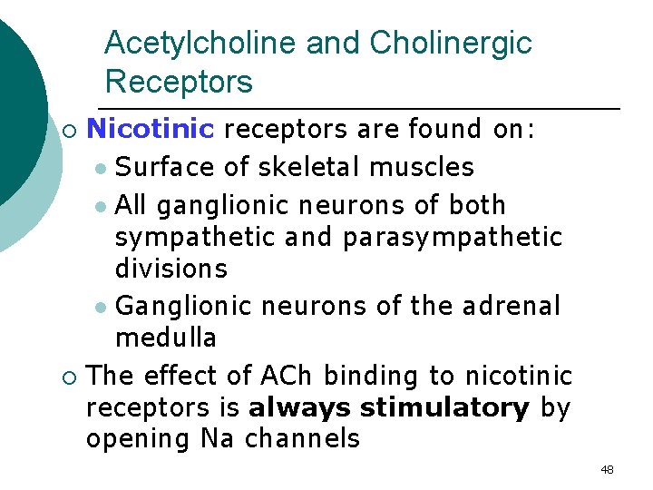 Acetylcholine and Cholinergic Receptors Nicotinic receptors are found on: l Surface of skeletal muscles