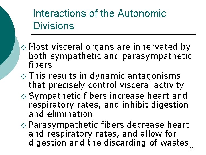 Interactions of the Autonomic Divisions Most visceral organs are innervated by both sympathetic and