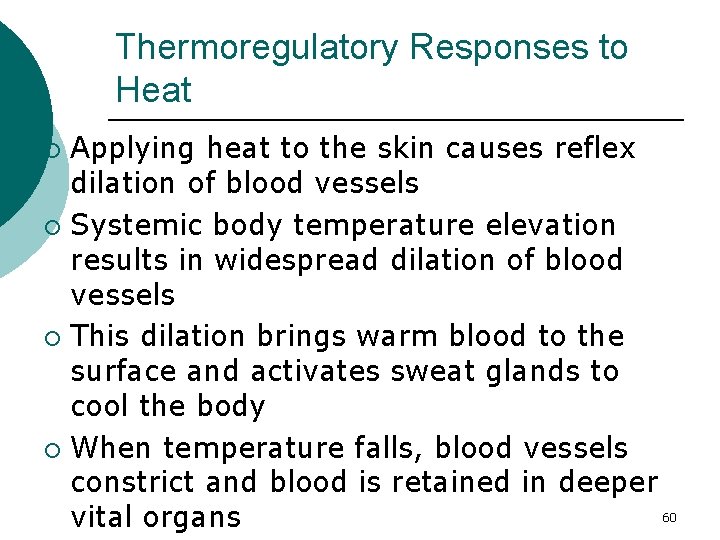 Thermoregulatory Responses to Heat Applying heat to the skin causes reflex dilation of blood