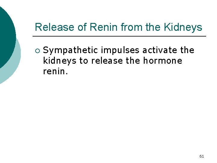 Release of Renin from the Kidneys ¡ Sympathetic impulses activate the kidneys to release