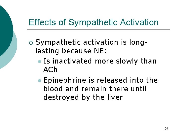 Effects of Sympathetic Activation ¡ Sympathetic activation is longlasting because NE: l Is inactivated