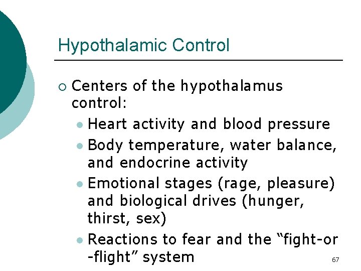 Hypothalamic Control ¡ Centers of the hypothalamus control: l Heart activity and blood pressure