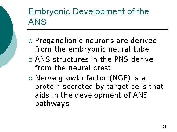 Embryonic Development of the ANS Preganglionic neurons are derived from the embryonic neural tube