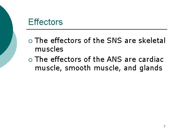 Effectors The effectors of the SNS are skeletal muscles ¡ The effectors of the