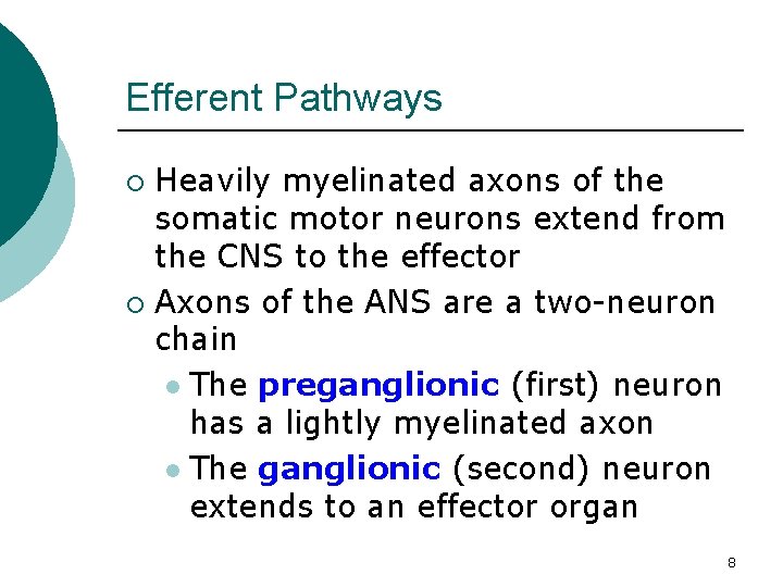 Efferent Pathways Heavily myelinated axons of the somatic motor neurons extend from the CNS