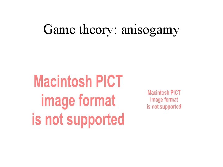 Game theory: anisogamy 