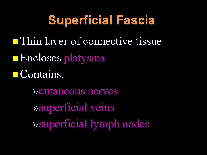 Superficial Fascia n Thin layer of connective tissue n Encloses platysma n Contains: »