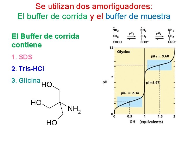 Se utilizan dos amortiguadores: El buffer de corrida y el buffer de muestra El