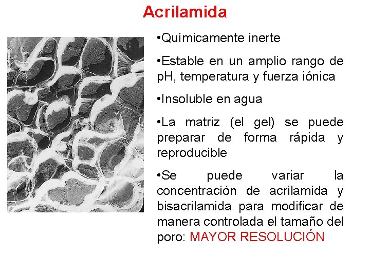 Acrilamida • Químicamente inerte • Estable en un amplio rango de p. H, temperatura