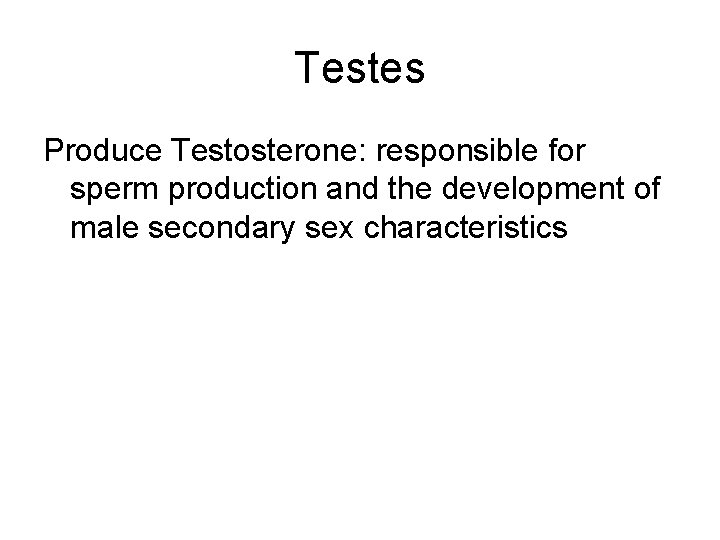 Testes Produce Testosterone: responsible for sperm production and the development of male secondary sex