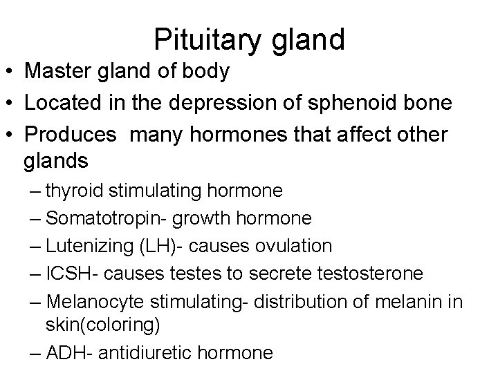 Pituitary gland • Master gland of body • Located in the depression of sphenoid