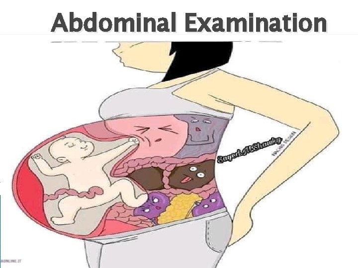 Abdominal Examination 
