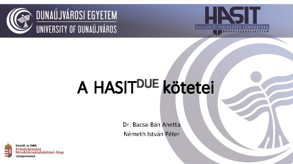 A DUE HASIT kötetei Dr. Bacsa-Bán Anetta Németh István Péter 