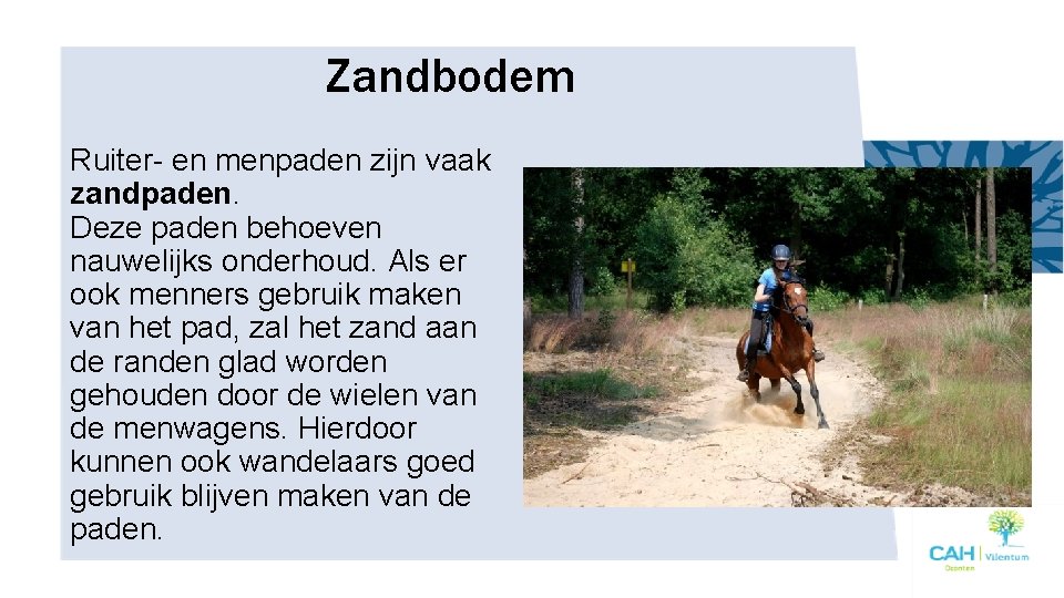 Zandbodem Ruiter- en menpaden zijn vaak zandpaden. Deze paden behoeven nauwelijks onderhoud. Als er