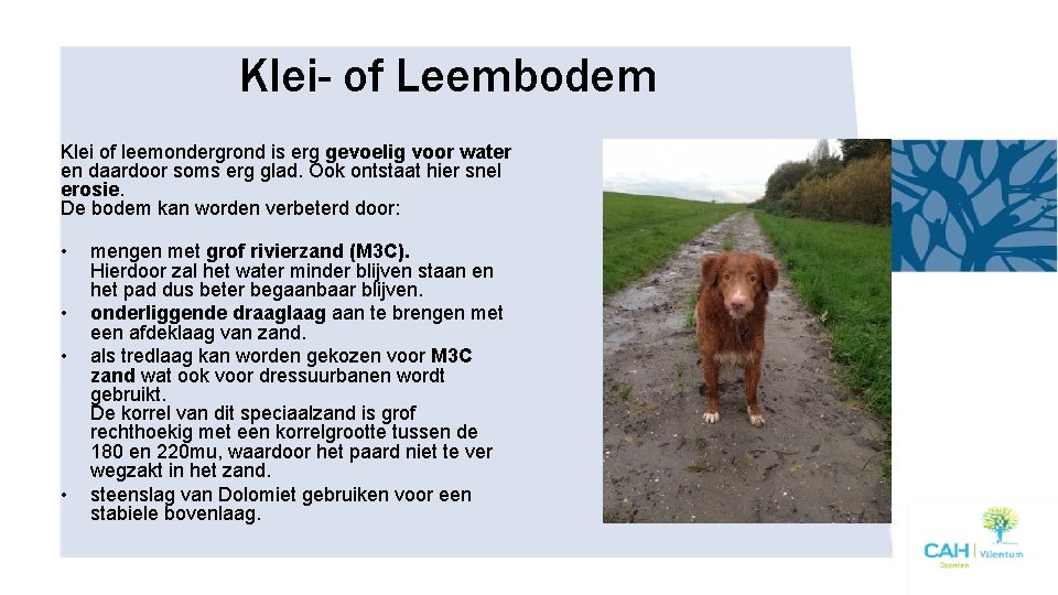 Klei- of Leembodem Klei of leemondergrond is erg gevoelig voor water en daardoor soms