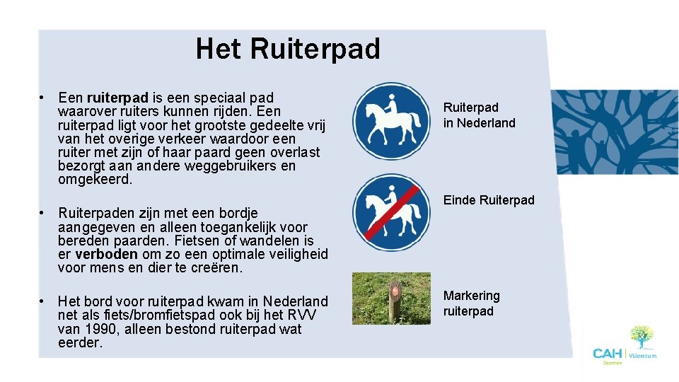 Het Ruiterpad • Een ruiterpad is een speciaal pad waarover ruiters kunnen rijden. Een