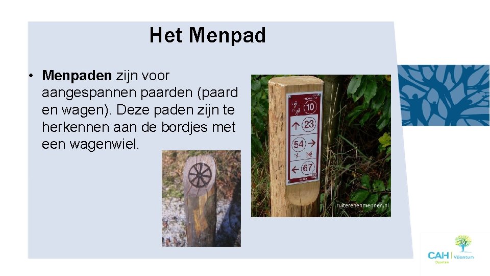 Het Menpad • Menpaden zijn voor aangespannen paarden (paard en wagen). Deze paden zijn