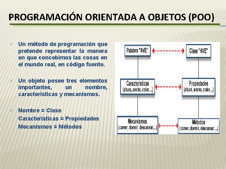 PROGRAMACIÓN ORIENTADA A OBJETOS (POO) ü Un método de programación que pretende representar la