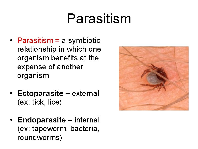 Parasitism • Parasitism = a symbiotic relationship in which one organism benefits at the