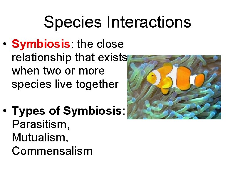 Species Interactions • Symbiosis: the close relationship that exists when two or more species