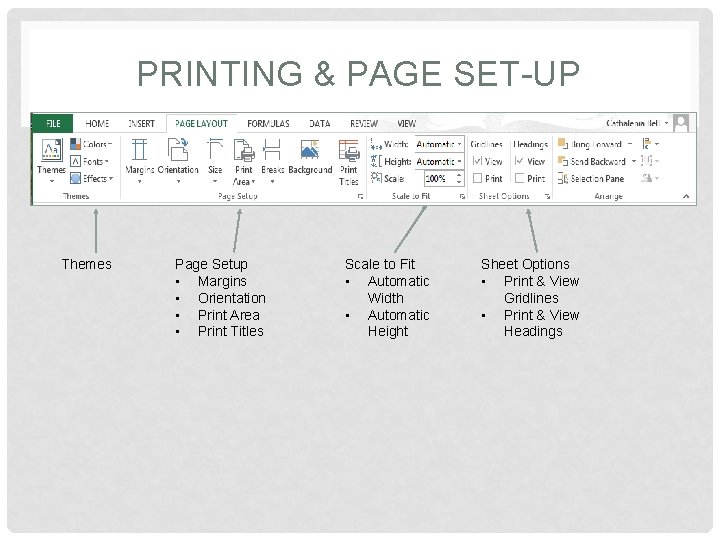 PRINTING & PAGE SET-UP Themes Page Setup • Margins • Orientation • Print Area