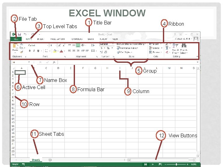 EXCEL WINDOW 2 File Tab 3 Top Level Tabs 1 Title Bar 4 Ribbon