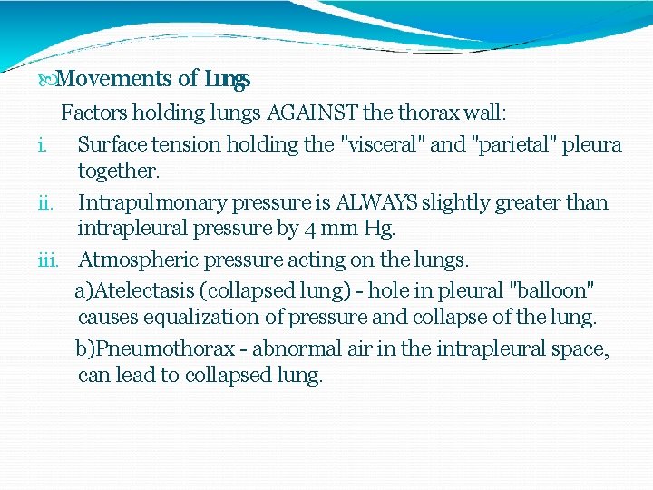  Movements of Lungs Factors holding lungs AGAINST the thorax wall: i. Surface tension