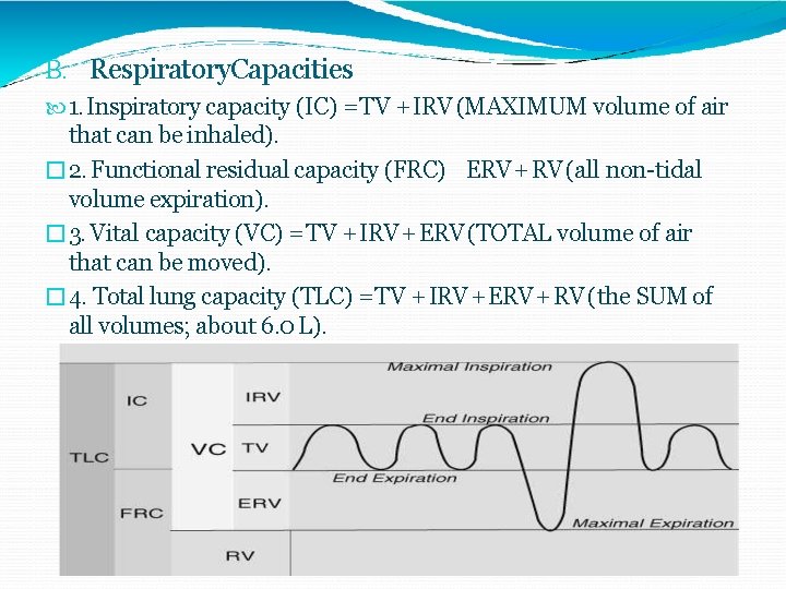 B. Respiratory. Capacities 1. Inspiratory capacity (IC) = TV + IRV (MAXIMUM volume of