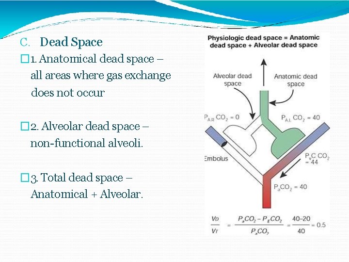 C. Dead Space � 1. Anatomical dead space – all areas where gas exchange