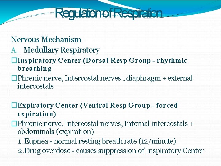 Regulationof Respiration Nervous Mechanism A. Medullary Respiratory �Inspiratory Center (Dorsal Resp Group - rhythmic