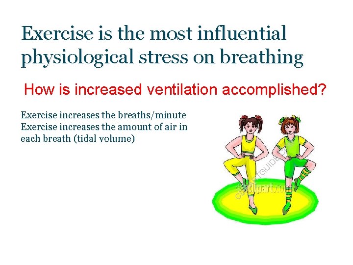 Exercise is the most influential physiological stress on breathing How is increased ventilation accomplished?