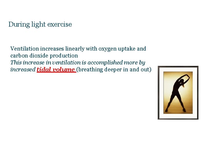During light exercise Ventilation increases linearly with oxygen uptake and carbon dioxide production This