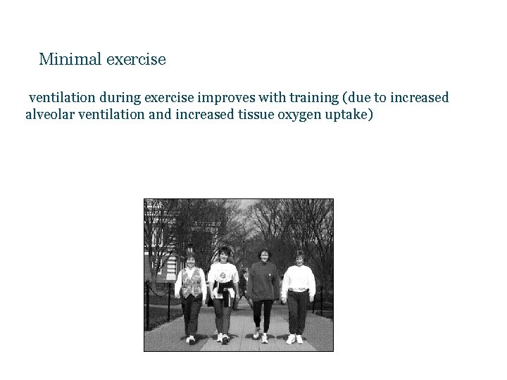 Minimal exercise ventilation during exercise improves with training (due to increased alveolar ventilation and