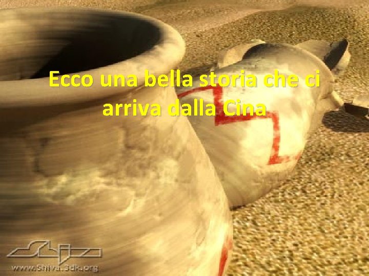 Ecco una bella storia che ci arriva dalla Cina 